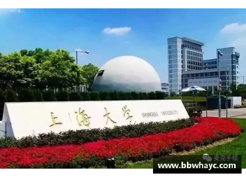 boyu博鱼上海国际学校怎么选国际课程？科普VS对比 - 副本