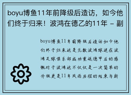 boyu博鱼11年前降级后造访，如今他们终于归来！波鸿在德乙的11年 - 副本