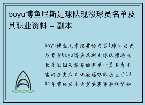 boyu博鱼尼斯足球队现役球员名单及其职业资料 - 副本