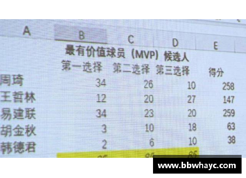 boyu博鱼球员选票mvp：深入解析背后的投票过程 - 副本