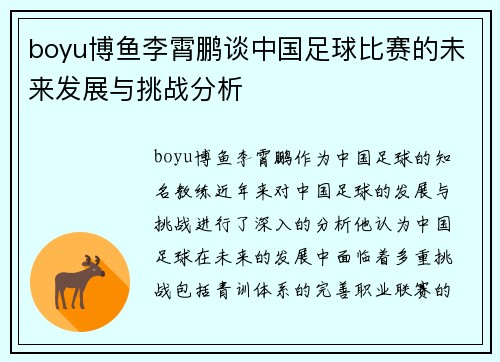 boyu博鱼李霄鹏谈中国足球比赛的未来发展与挑战分析